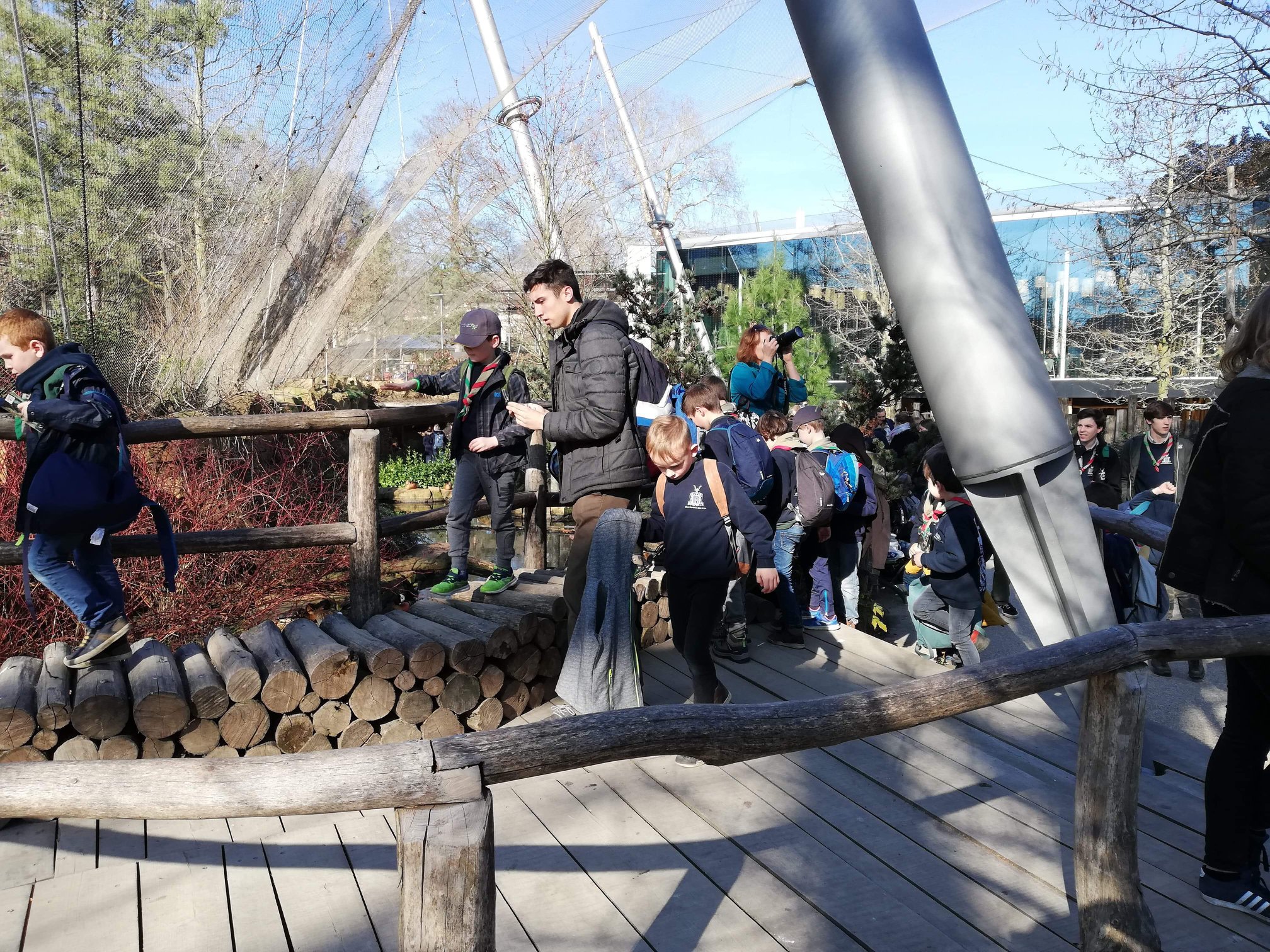Sint-Martinus den XIIde - Zoo Antwerpen Kapoenen